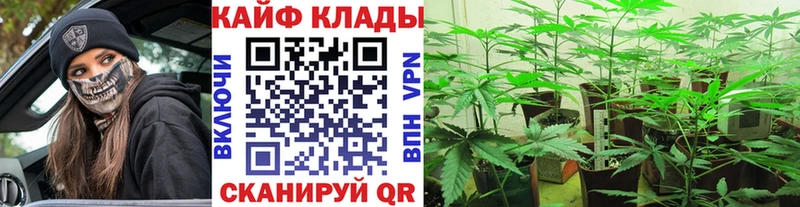 Наркошоп купить ЭКСТАЗИ Галлюциногенные грибы МАРИХУАНА Меф КОКАИН Судогда