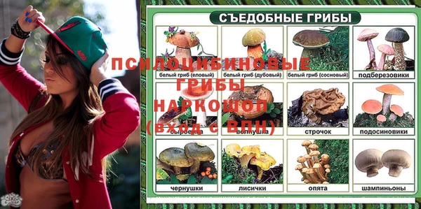 ешки Арсеньев