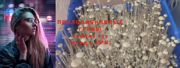 бошки Алексин