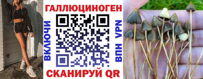Галлюциногенные грибы прущие грибы  Купить где  Судогда 