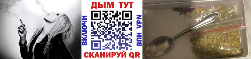 Каннабис планчик  Купить закладки  Судогда 